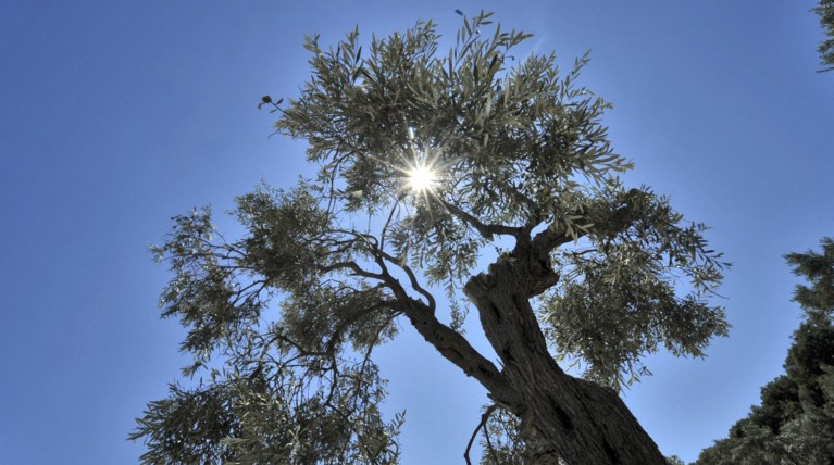 Αίθριος καιρός με αραιές νεφώσεις την Κυριακή