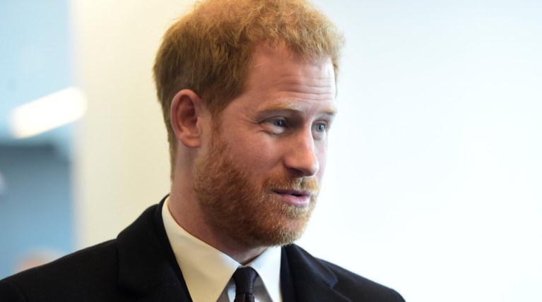 Χάρι: εντοπίστηκε από θαυμάστριά του σε εμπορική πτήση Ρώμη-Λονδίνο