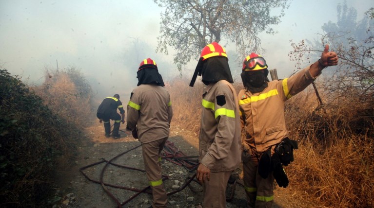 Υπό μερικό έλεγχο τέθηκε η πυρκαγιά στη Χαλκιδική