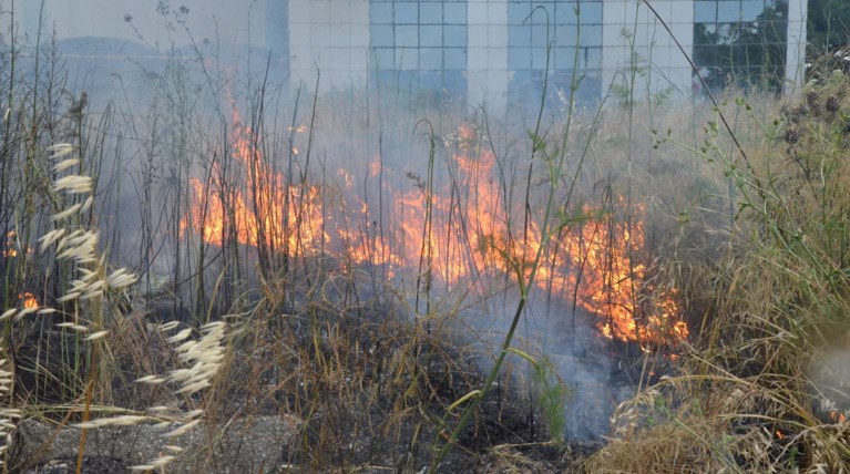 ΓΓΠΠ: Σε ποιες περιοχές υπάρχει υψηλός κίνδυνος πυρκαγιας την Τρίτη