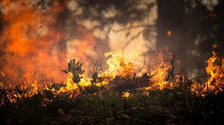 Πυρκαγιά στην Κάρυστο - Ολονύχτια μάχη με τις φλόγες