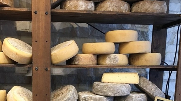 Πρόστιμα 34.500 ευρώ σε δύο τυροκομικές επιχειρήσεις για παραβάσεις