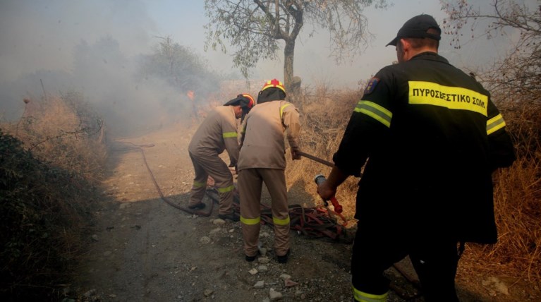 Φθιώτιδα: Σε εξέλιξη πυρκαγιά κοντά στη Μακρακώμη