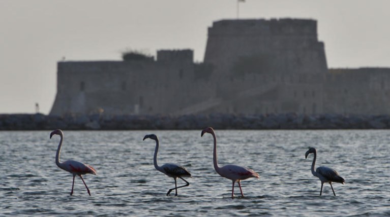 Μια υπέροχη ιδέα για αυτό το weekend στο Ναύπλιο