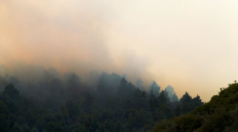 Σε εξέλιξη πυρκαγιά σε δασική περιοχή στη Χαλκιδική
