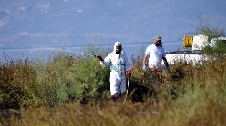 Στην εποχή του ιού του Δυτικού Νείλου - Τα πρώτα κρούσματα