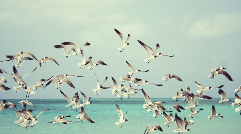 Καιρός: Η πρόγνωση για τη Δευτέρα