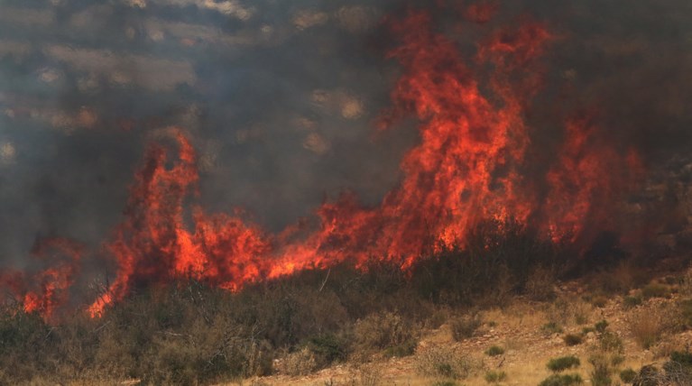 Πυρκαγιά σε δασική έκταση στη Σκεπαστή Ευβοίας