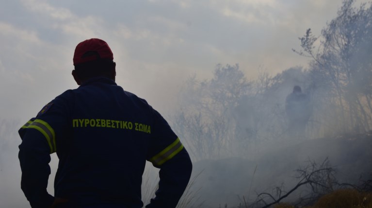 Σε εξέλιξη οι πυρκαγιές σε Ηλεία και Φθιώτιδα - Συνεχής ενημέρωση