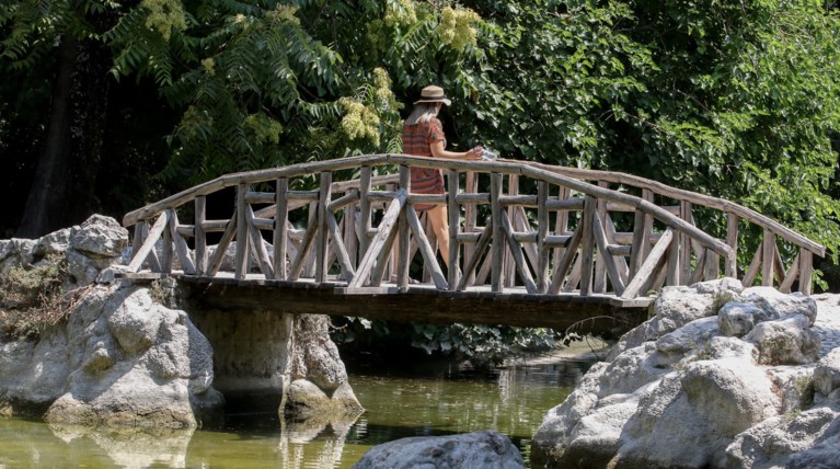 Πάνω από τους 41 βαθμούς η θερμοκρασία το Σάββατο