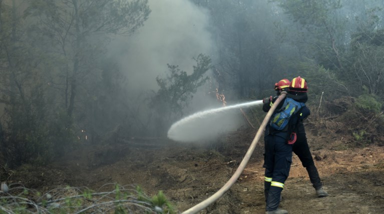 Πυρκαγιά στην περιοχή των Φαρσάλων
