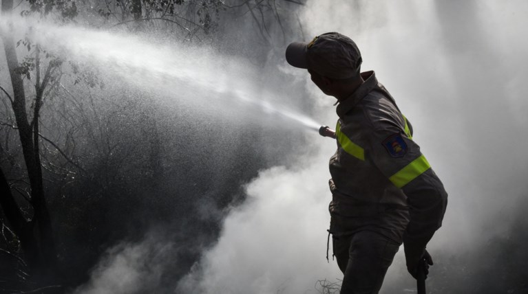 Απαγόρευση κυκλοφορίας σε δάση & συνεχείς περιπολίες: 44 πυρκαγιές σήμερα