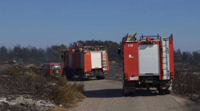 Υπό μερικό έλεγχο η πυρκαγιά στην περιοχή των Φαρσάλων