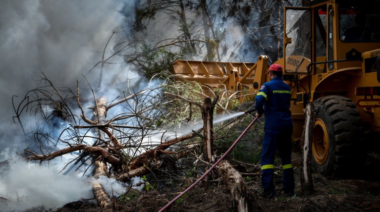 Φωτιά στην περιοχή Ανεμοχώρι στην Ηλεία - Στάχτη 20 στρέμματα