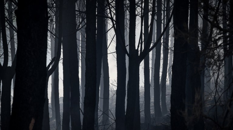 Πολύ υψηλός κίνδυνος πυρκαγιάς στις Περιφέρειες Βορείου και Νοτίου Αιγαίου