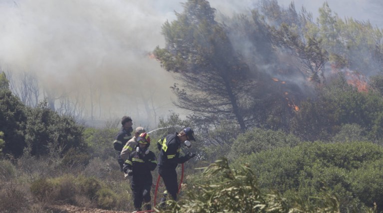 Πάνω από την πόλη του Μαραθώνα η φωτιά -  Ενισχύονται οι δυνάμεις