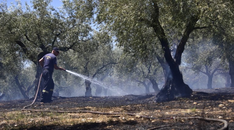Φωτιά Ελαφόνησος: Φεύγουν επισκέπτες από το νησί