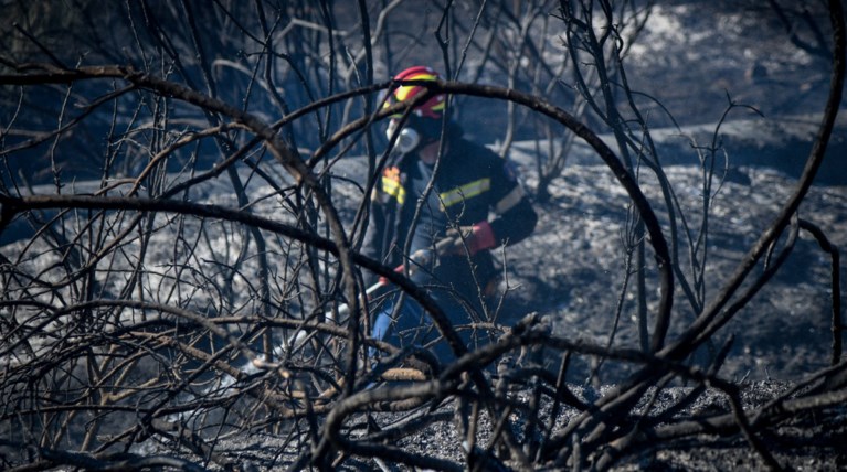 Δυσκολότερη μέρα η Κυριακή: Κατάσταση ακραίου κινδύνου-59 φωτιές το Σάββατο