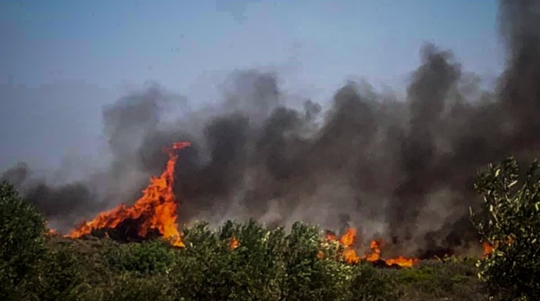 Επέστρεψαν τα παιδιά στις κατασκηνώσεις του δήμου Αθηναίων