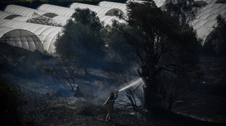 Συνεχίζουν να καίνε οι φωτιές σε Μαραθώνα και Ελαφόνησο