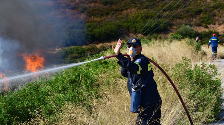 Φλώρινα: Υπό μερικό έλεγχο η φωτιά που ξέσπασε στις Πρέσπες