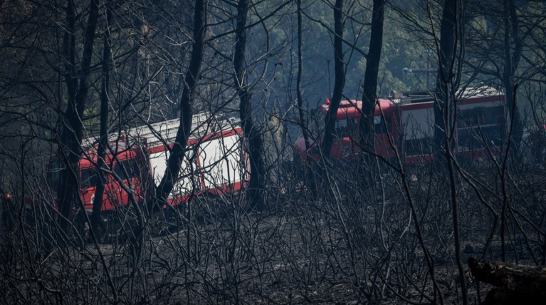 Σε μια ημέρα 63 φωτιές - Μεγάλος κίνδυνος και τη Δευτέρα