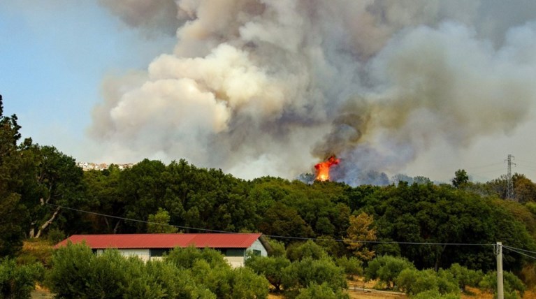 Τρεις νέες φωτιές σε Μεσσηνία και Αρτα - Μεγάλη επιχείρηση