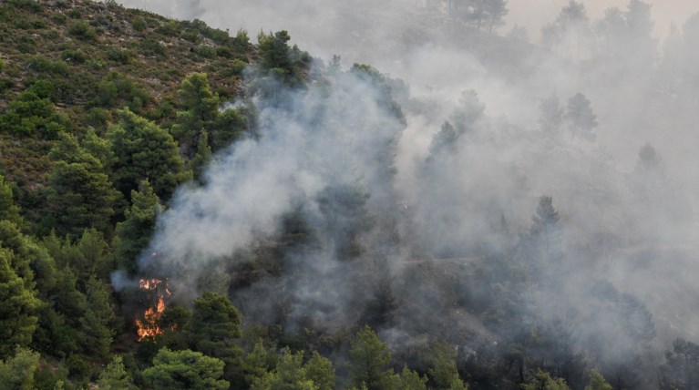 Λαμία: Εκκενώνεται το χωριό Πλατανιά στην Εύβοια