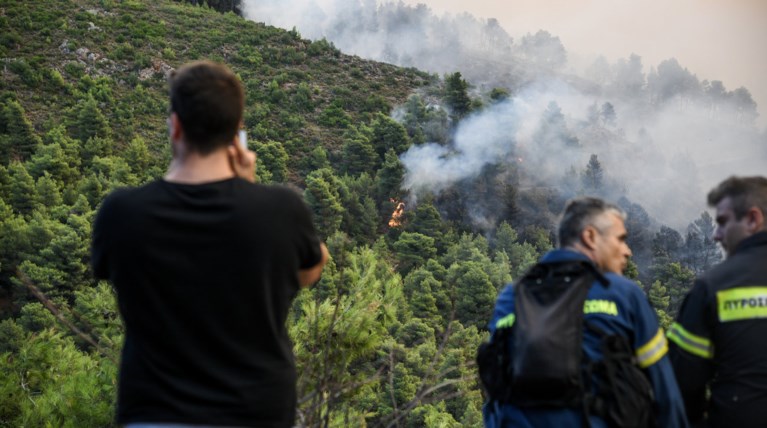 Φωτιά στα Καλάβρυτα, αντιμετωπίστηκε στη Νέα Μανωλάδα