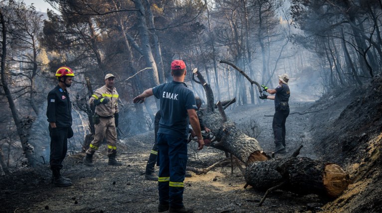 Στάχτη 25.000 στρέμματα δάσους στην Εύβοια