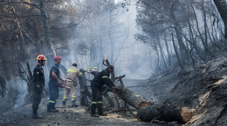 Τεράστια οικολογική καταστροφή, μάχη με τις αναζωπυρώσεις στην Εύβοια