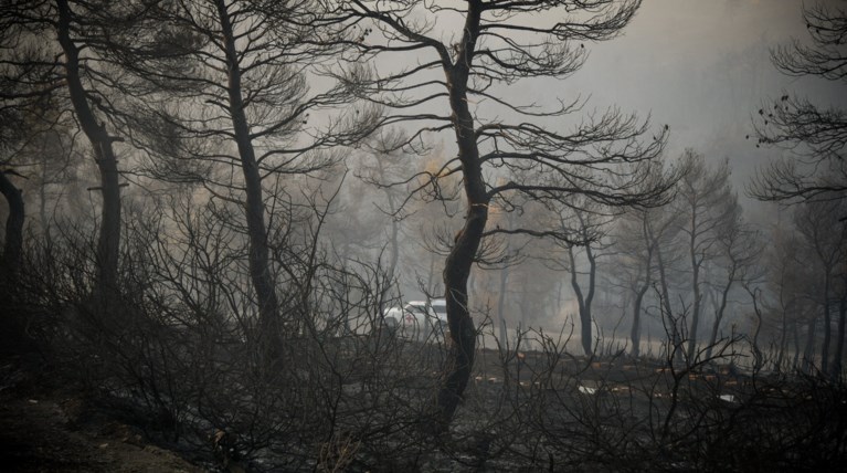 Πολύ υψηλός κίνδυνος πυρκαγιάς και ανήμερα του Δεκαπενταύγουστου