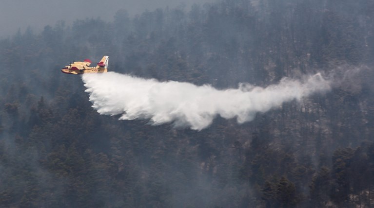 Εύβοια: Στα όρια του καταφυγίου άγριων ζώων -Σαφείς ενδείξεις για εμπρησμό