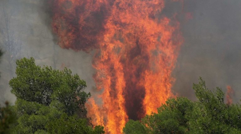 Συναργεμός στην Κέρκυρα-Πυρκαγιά σε περιοχή Natura