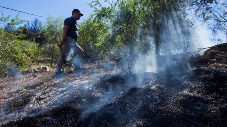 Σε ύφεση η πυρκαγιά στο Γκραν Κανάρια-Περιορισμένες οι ζημιές