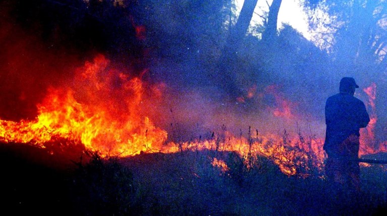 Φωτιά στις Πηγές του Φονιά στις Καρυές Σαμοθράκης