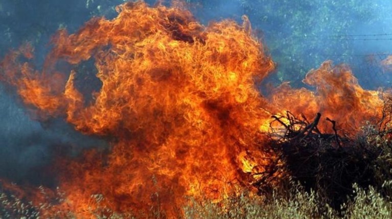 Αλεξανδρούπολη: Μεγάλη φωτιά κοντά σε οικισμό στην Καβησό