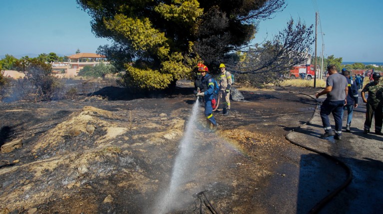 Εικόνες από τη φωτιά στην Αρτέμιδα