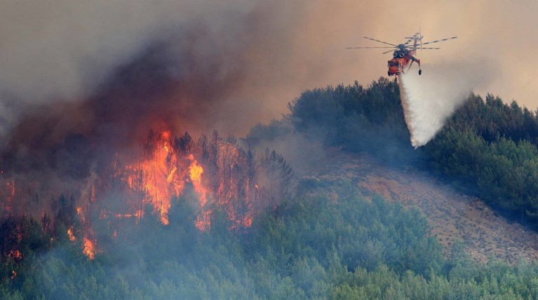 47 δασικές πυρκαγιές σε μια ημέρα-η πρόβλεψη κινδύνου για το Σάββατο