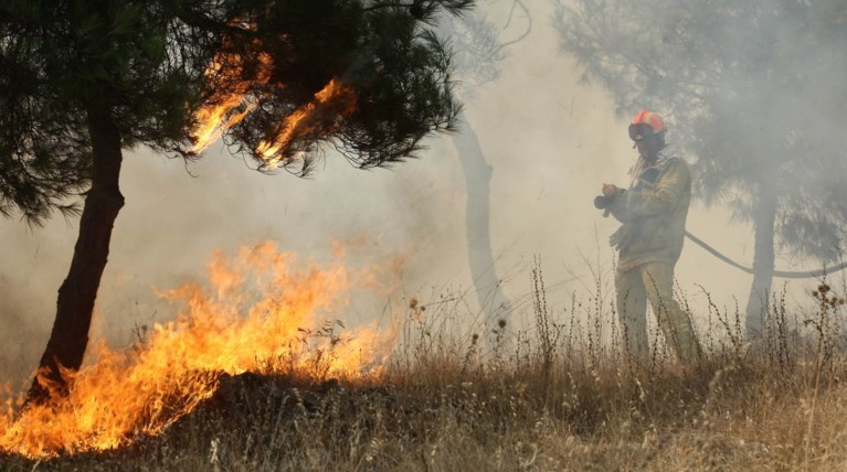 Σε εξέλιξη πυρκαγιά σε δάσος στην Αρχαία Ολυμπία