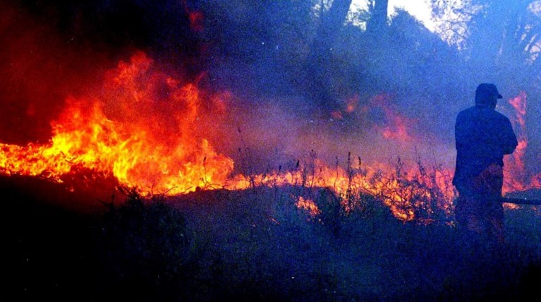 Φωτιά στον Μαραθώνα - Στο σημείο ισχυρές δυνάμεις