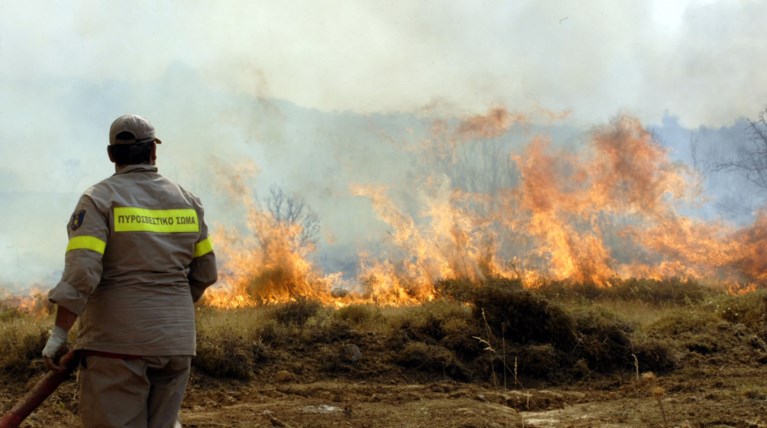 Πυρκαγιά σε υπαίθριο χώρο στο Νέο Ικόνιο