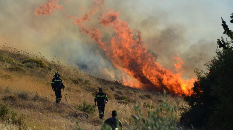 Εύβοια: Πυρκαγιά στο Βατήσι Καρύστου
