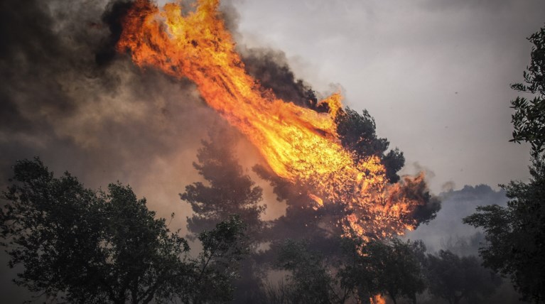 Φωτιά ξέσπασε στην Αχαΐα σε δασική έκταση