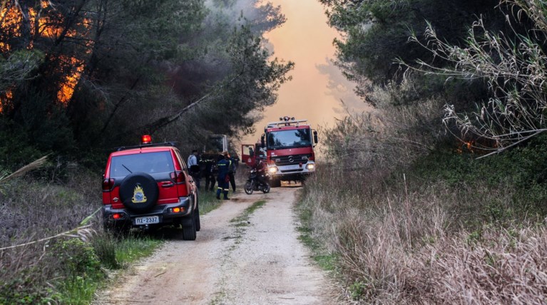 Πυρκαγιά σε δασική περιοχή στο Σοφικό Κορινθίας