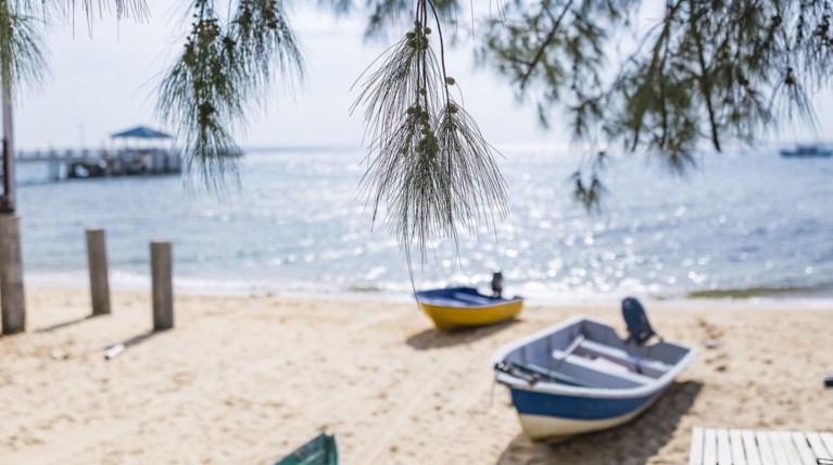 ΟΗΕ: Τα 5 τελευταία χρόνια τα θερμότερα που καταγράφηκαν ποτέ