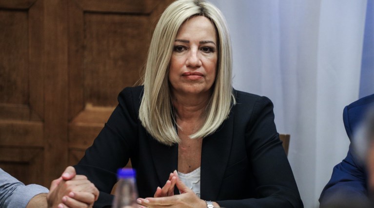 Δείτε το πόθεν έσχες της Φώφης Γενηματά