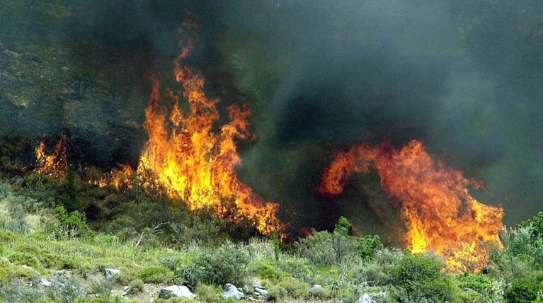 Σε εξέλιξη πυρκαγιά σε περιοχή του χωριού Οξυά στην Καρδίτσα