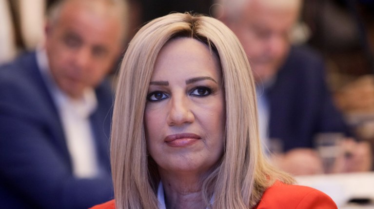 Γεννηματά για ΚΕΘΕΑ: Θα αντισταθούμε με όλες μας τις δυνάμεις