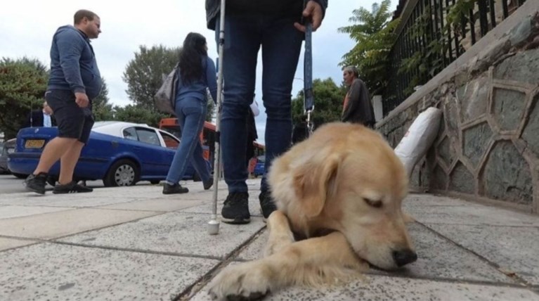 Θεσσαλονικη: Ο Στράτος και ο Μπρούνο στο αφιλόξενο για τα ΑμεΑ κέντρο